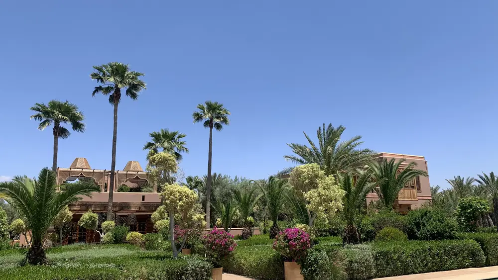 Les palmiers et les massifs du jardin